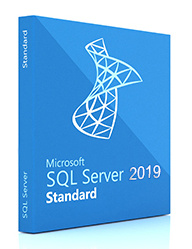 ПО Microsoft SQL Svr Standard Edtn 2019 English DVD 10 Clt (228-11548)