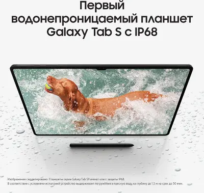 Планшет Samsung Galaxy Tab S9+ SM-X816B, Snapdragon 8 Gen 2, 12Gb RAM, 256Gb, 5G, графит (SM-X816BZAACAU)