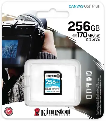 Флеш карта SDXC 256GB Kingston SDG3/256GB Canvas Go! Plus w/o adapter