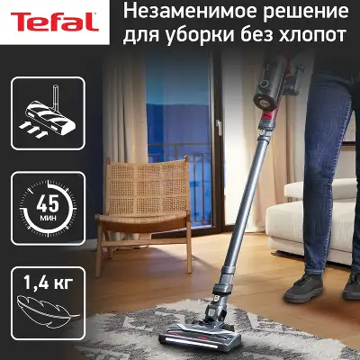 Пылесос Tefal TY6878WO серый/красный