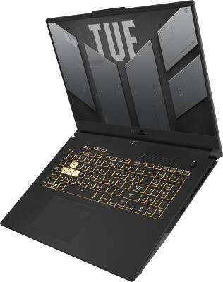 Ноутбук ASUS TUF Gaming F17 FX707ZC4-HX095 17.3" FHD IPS i5-12500H/16/512Gb SSD/RTX 3050 4G/Без OC серый