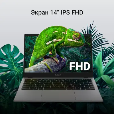 Ноутбук Digma EVE C4801 14" FHD IPS N100/8/256Gb SSD/W11Pro серебристый