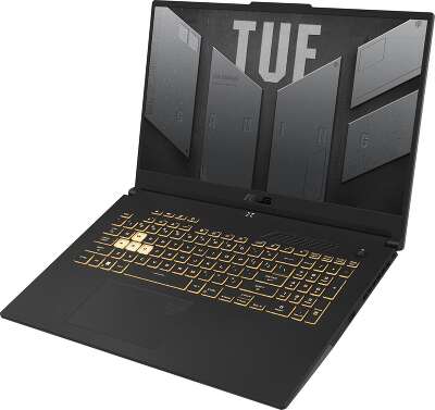 Ноутбук ASUS TUF Gaming F17 FX707ZC4-HX095 17.3" FHD IPS i5-12500H/16/512Gb SSD/RTX 3050 4G/Без OC серый