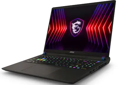 Ноутбук MSI Vector 16 HX A14VGG-283RU 16" WQXGA IPS i9 14900HX/16/1Tb SSD/RTX 4070 8G/W11