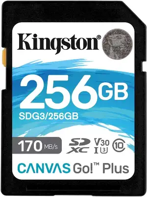 Флеш карта SDXC 256GB Kingston SDG3/256GB Canvas Go! Plus w/o adapter