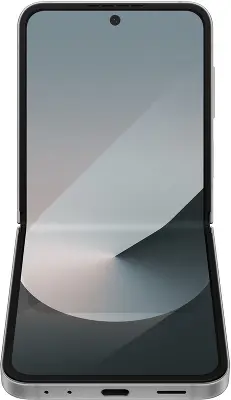 Смартфон Samsung Galaxy Z Flip 6 SM-F741B 512Gb 12Gb, серый (SM-F741BZSHCAU)