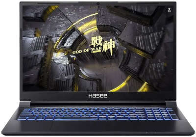 Ноутбук Hasee Z7 DA7NS 15.6" FHD IPS i7-12650H/16/512Gb SSD/RTX 3050 4G/Без OC черный