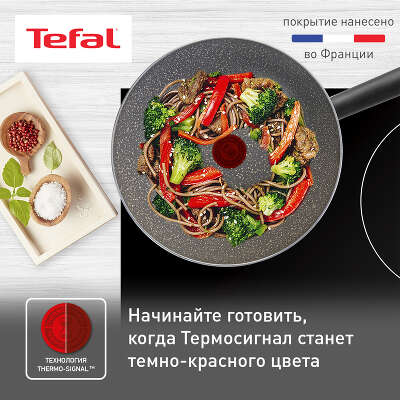 Сковорода ВОК (WOK) Tefal Natural Cook 04211628 круглая 28см покрытие: Mineralia ручка несъемная (без крышки) серый (9100046098)