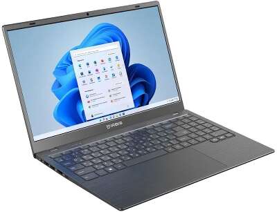 Ноутбук IRBIS 15.6" FHD IPS N4020/8/128Gb eMMC/W11Pro серый