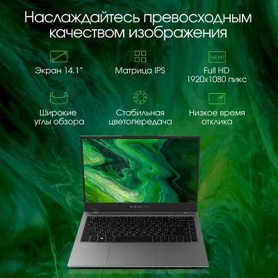 Ноутбук Digma Pro Fortis 14.1" FHD IPS i3-1005G1/8/512Gb SSD/W11Pro серый