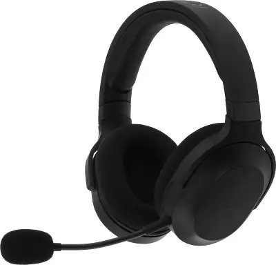 Наушники с микрофоном Razer Barracuda X черный 1.5м мониторные BT/Radio оголовье (RZ04-04430100-R3M1)