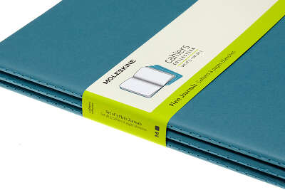 Блокнот Moleskine CAHIER JOURNAL CH023B44 XLarge 190х250мм обложка картон 120стр. нелинованный голубой (3шт)