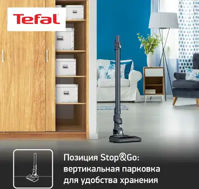 Пылесос Tefal TY6878WO серый/красный