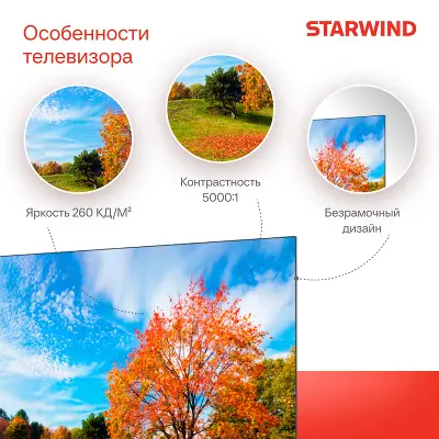 Телевизор 55" StarWind SW-LED55UG403 UHD HDMIx3, USBx2