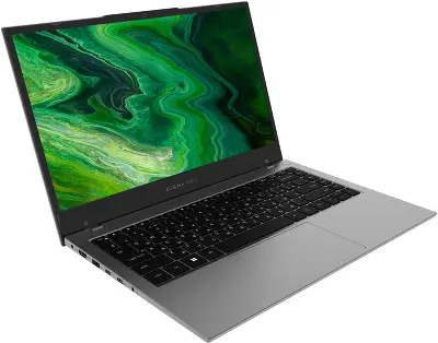 Ноутбук Digma Pro Fortis 14.1" FHD IPS i3-1005G1/8/512Gb SSD/W11Pro серый