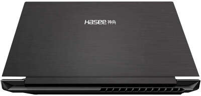 Ноутбук Hasee S8 D63654FH 15.6" FHD IPS i7-13620H/16/512Gb SSD/RTX 4060 8G/Без OC черный