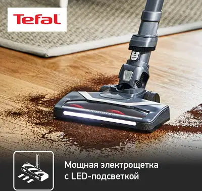 Пылесос Tefal TY6878WO серый/красный