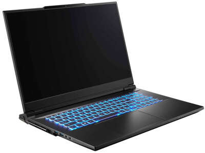 Ноутбук Colorful X17 Pro Max 17.3" WQHD IPS i7 13700HX 2.1 ГГц/32/1Tb SSD/GF RTX 4080 12G/Dos